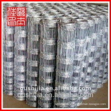 Cattle wire mesh fence/square wire mesh fence for farm